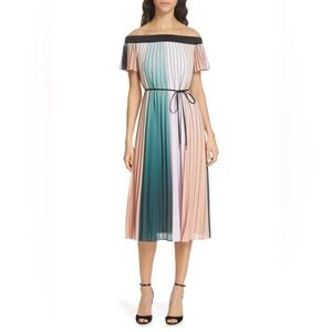 Ted Baker Fernee
Pleated Color-Block Dress size 2